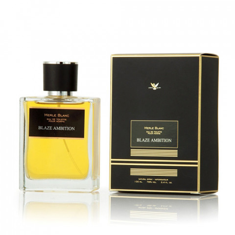 Вода туалетная для мужчин Merle blanc Blaze Ambition 100 мл
